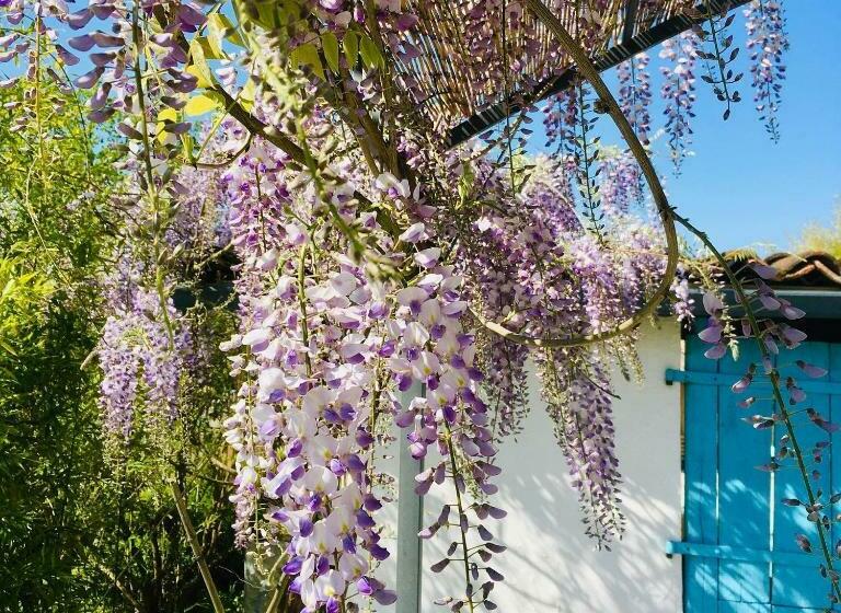 مبيت وإفطار Les Didascalies