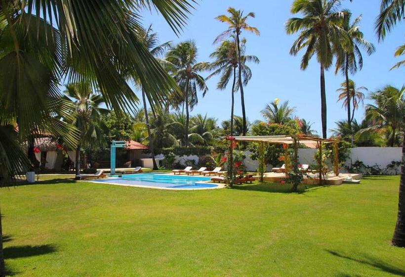 تختخواب و صبحانه Tucano Pousada