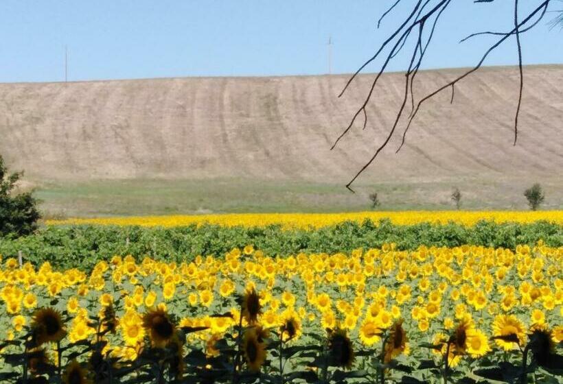צימר Villa Niccoli