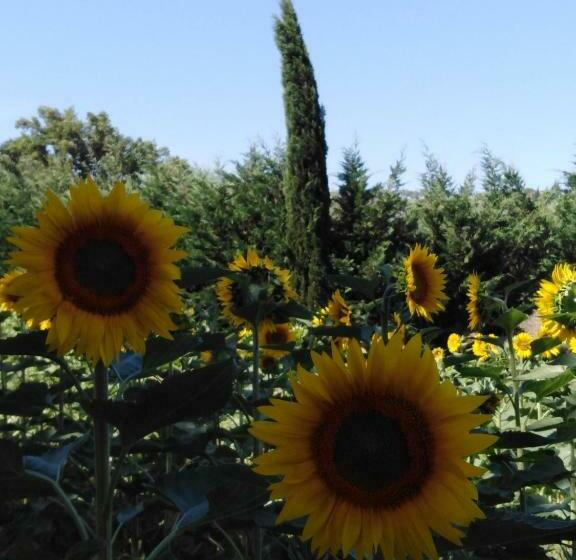 צימר Villa Niccoli