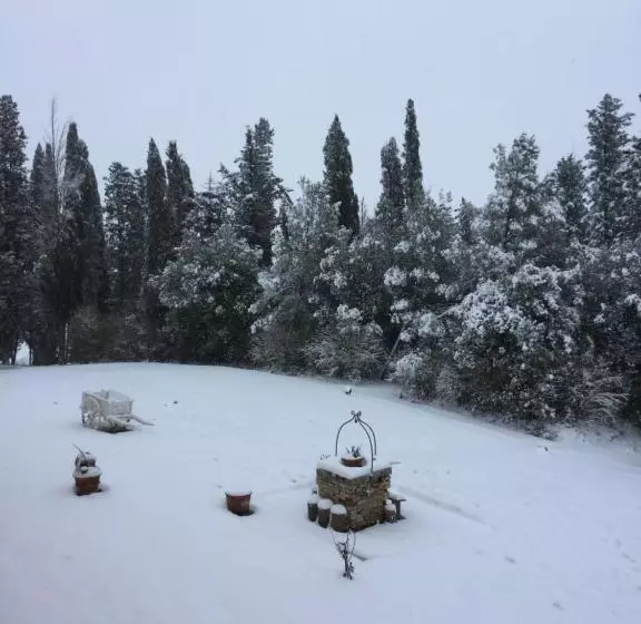 Aamiaismajoitus (B&B) Villa Niccoli