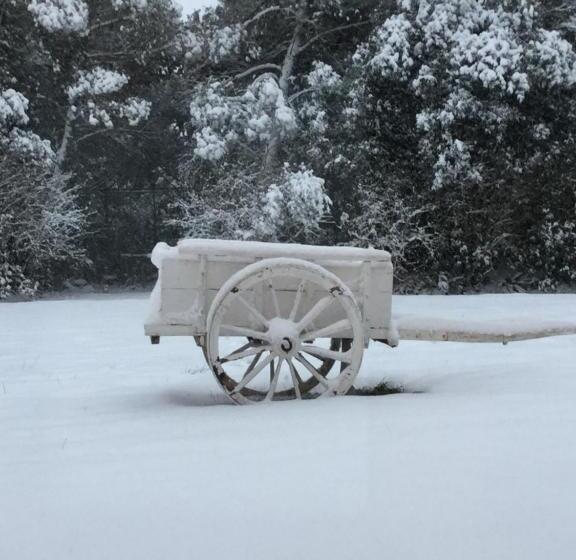 צימר Villa Niccoli