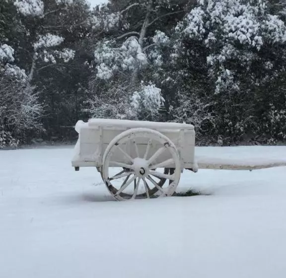 Aamiaismajoitus (B&B) Villa Niccoli