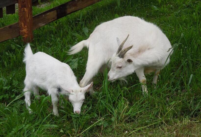 ホテル Filzerlehen