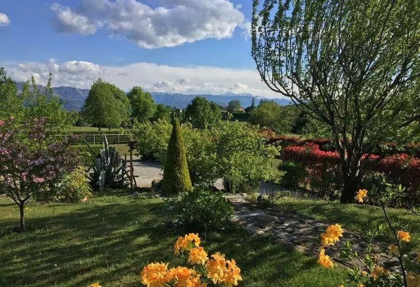 Aamiaismajoitus (B&B) A Cjase Di Sandra