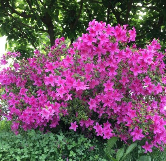 Nocleg ze śniadaniem A Cjase Di Sandra