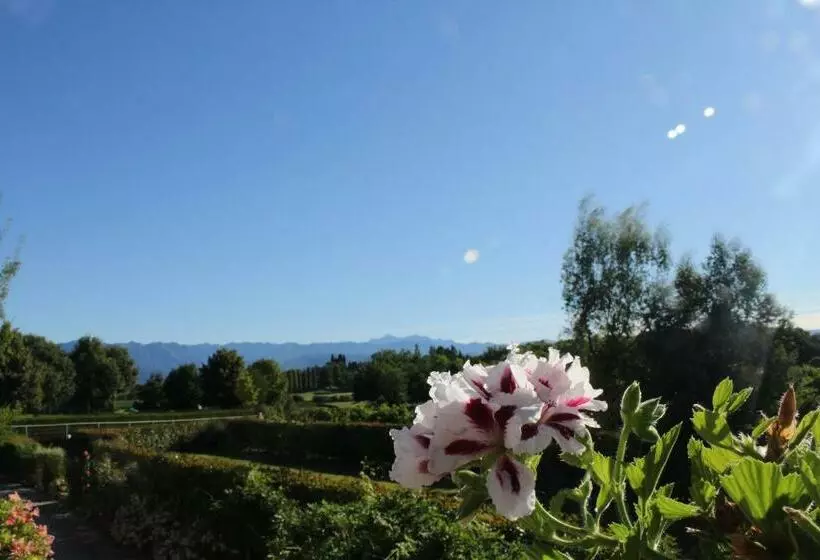 Aamiaismajoitus (B&B) A Cjase Di Sandra