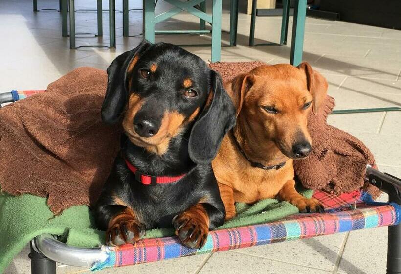 Nocleg ze śniadaniem A Cjase Di Sandra