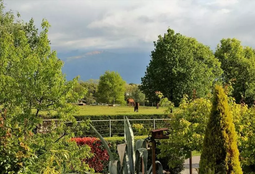 Aamiaismajoitus (B&B) A Cjase Di Sandra