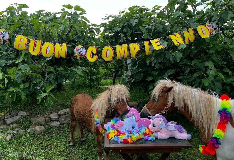 Nocleg ze śniadaniem A Cjase Di Sandra