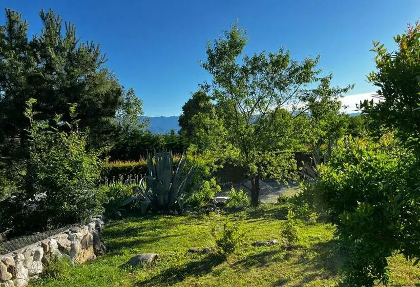 Aamiaismajoitus (B&B) A Cjase Di Sandra