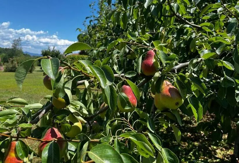 Aamiaismajoitus (B&B) A Cjase Di Sandra