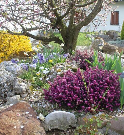 Nocleg ze śniadaniem A Cjase Di Sandra