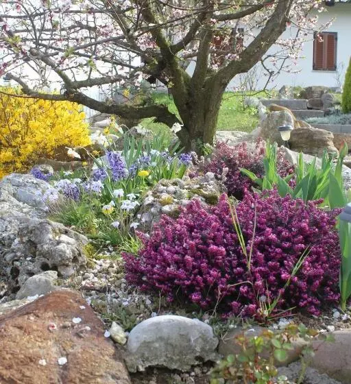 Aamiaismajoitus (B&B) A Cjase Di Sandra