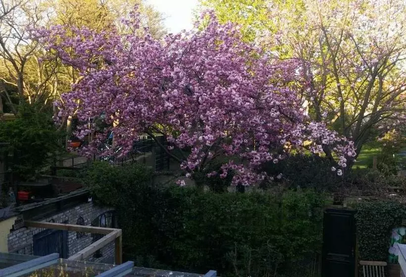 ベッドアンドブレックファースト Bed En Broodje Bloem