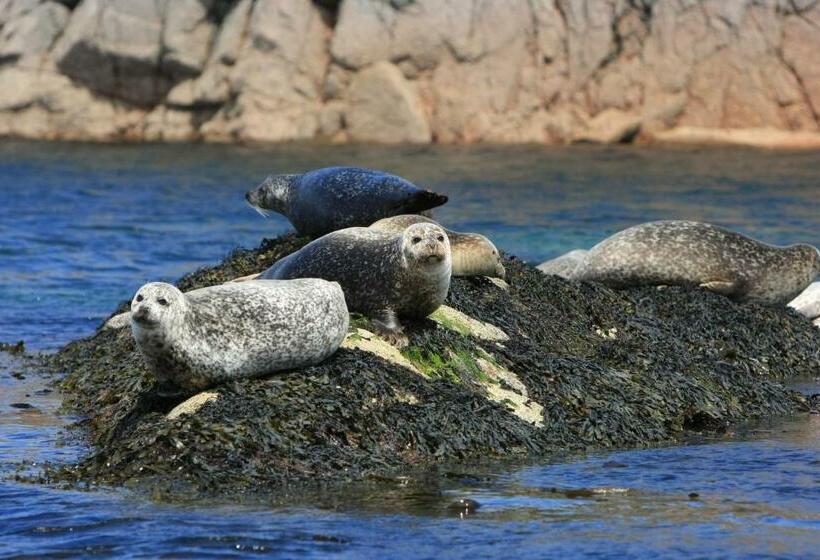 Bed and Breakfast Buckthorns House