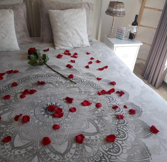 צימר De Slapende Leeuw