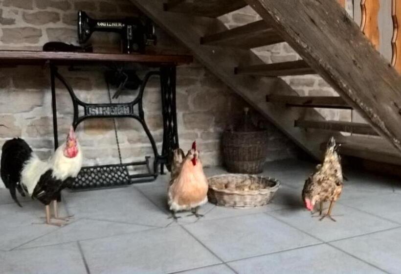 צימר La Ferme Du Grand Faubourg