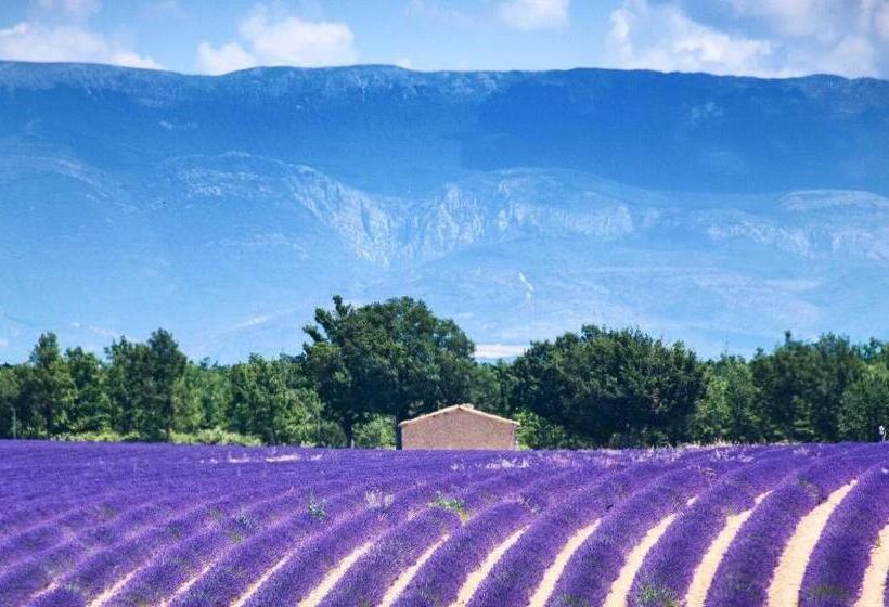 住宿加早餐 La Pinède Du Lac