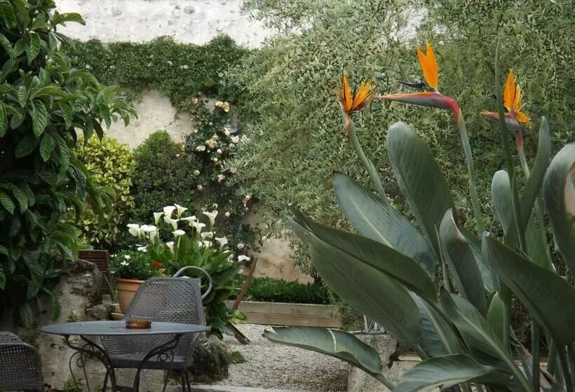 Aamiaismajoitus (B&B) Suite Luzilloise