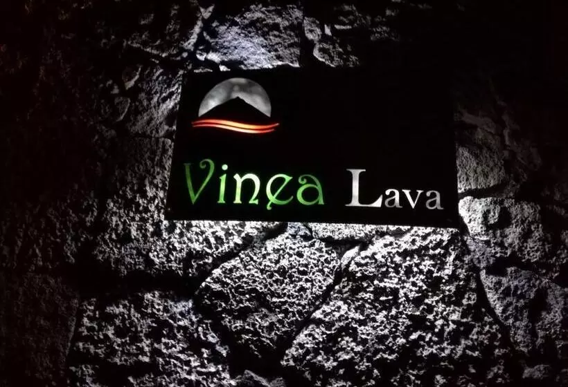 ペンション Pico Formoso Vínea Lava Alojamentos Pico