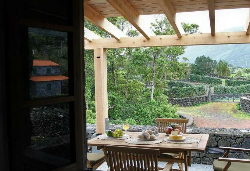 پانسیون Pico Formoso Vínea Lava Alojamentos Pico