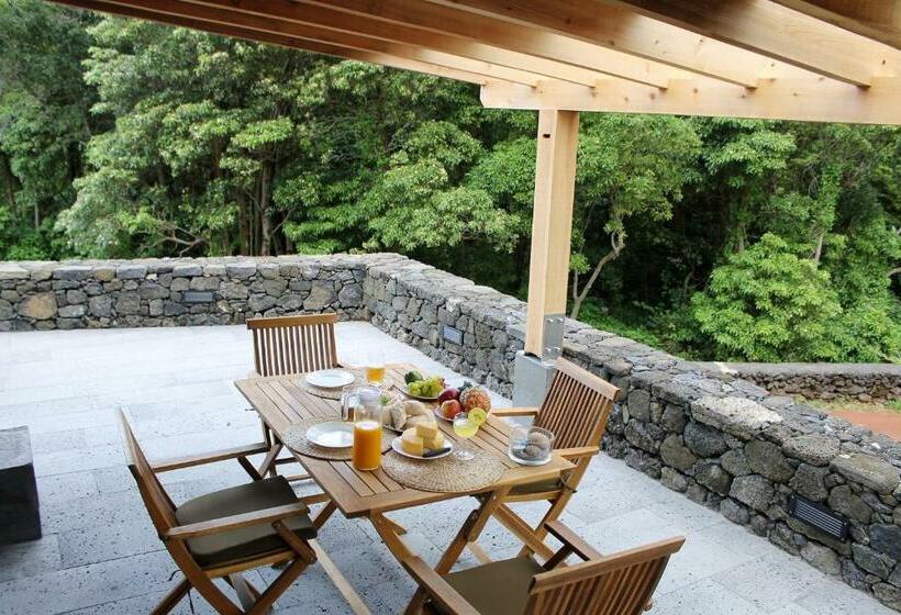 پانسیون Pico Formoso Vínea Lava Alojamentos Pico