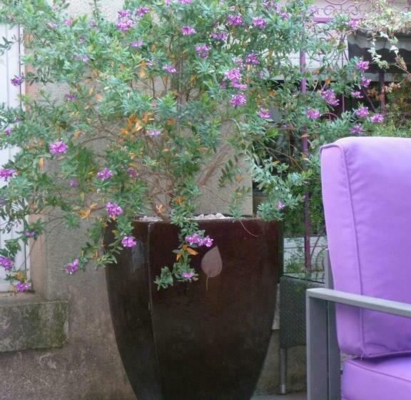 مبيت وإفطار La Pergola