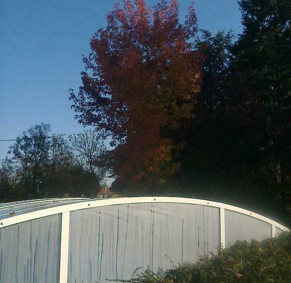 민박 Les écureuils