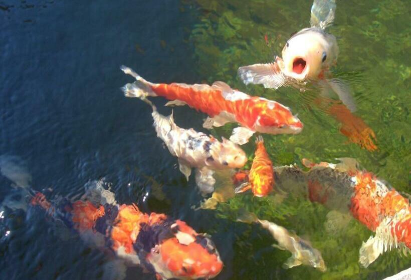 酒店 Garni Vigilhof