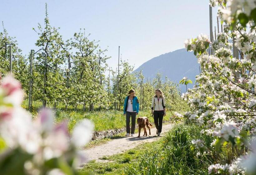 酒店 Garni Vigilhof