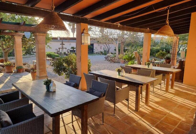 Pension Finca Caballo Blanco