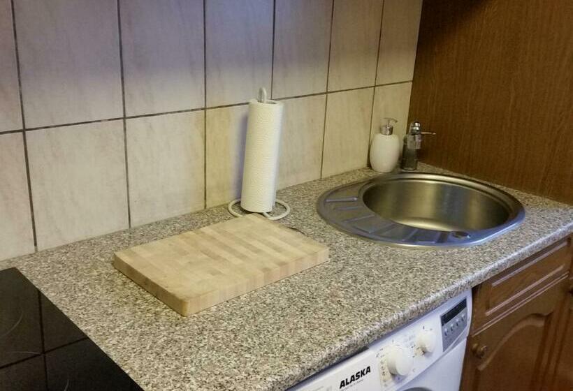 פנסיון Haus Nähe Flughafen Und Messe