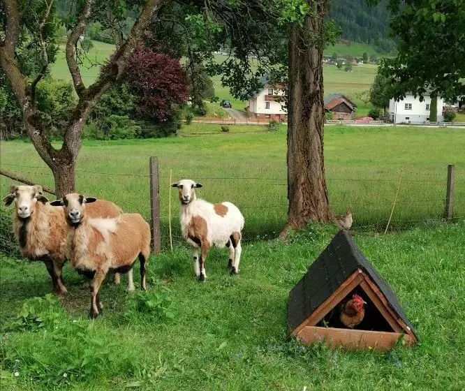 ペンション Lasserhof