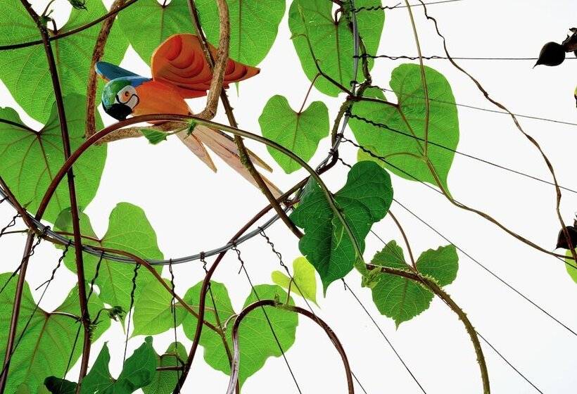 پانسیون Pousada Meu Talento