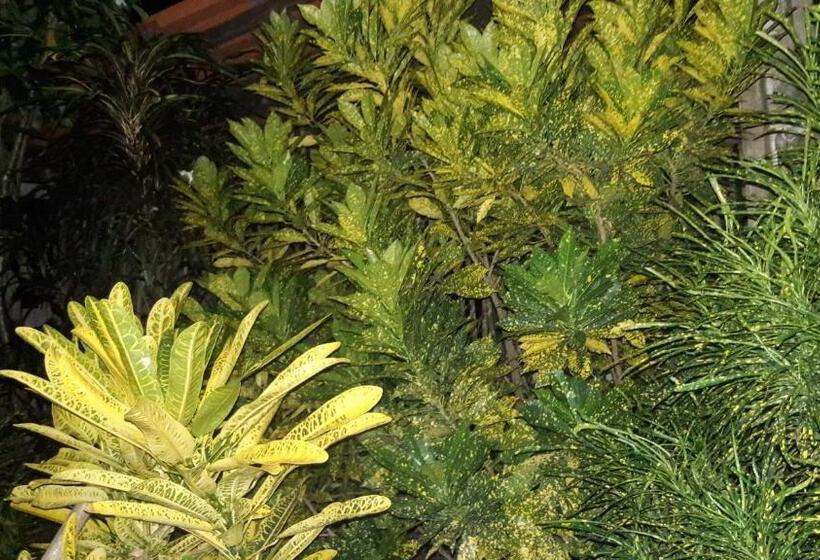 هاستل Casa Do Cunca Atins