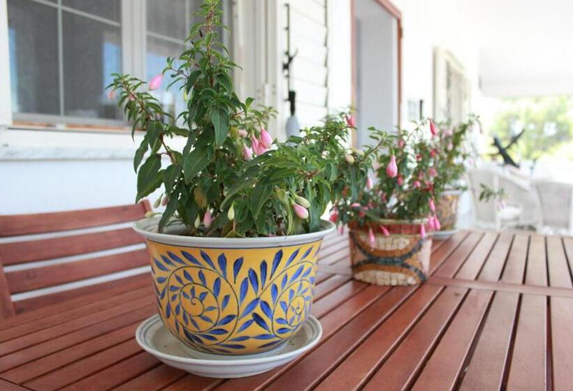 Nocleg ze śniadaniem Biancocancello