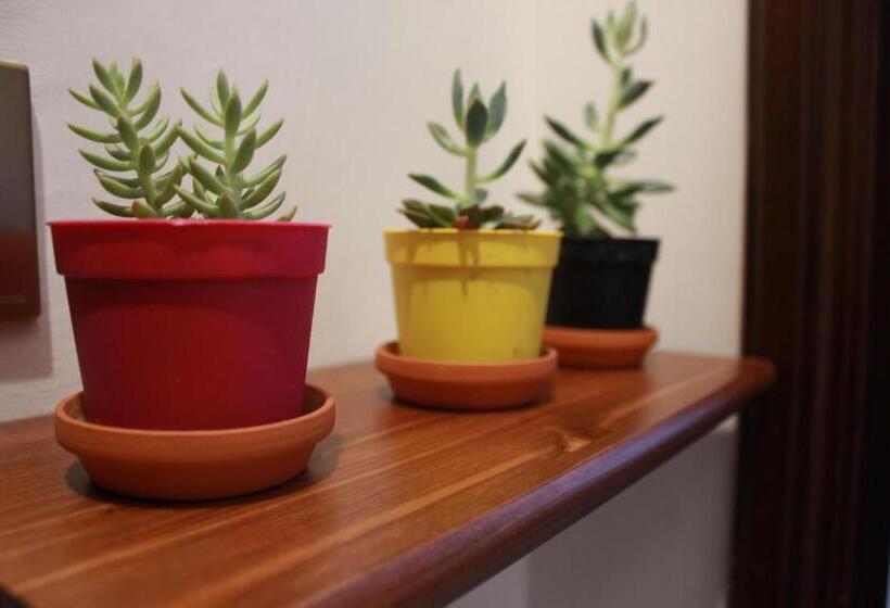 Nocleg ze śniadaniem Biancocancello