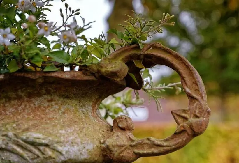 Aamiaismajoitus (B&B) Oes Tilber