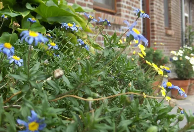 Aamiaismajoitus (B&B) Varlet Farm