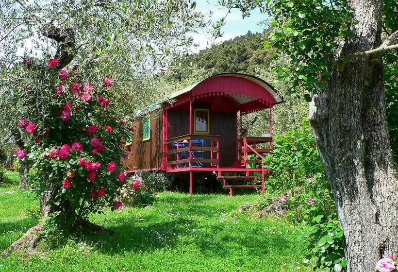 호텔 Azienda Agricola Della Mezzaluna