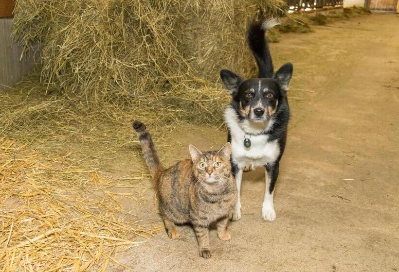 فندق Bio Bauernhof Niederlehen