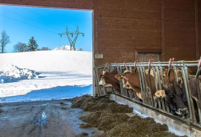 ホテル Bio Bauernhof Niederlehen