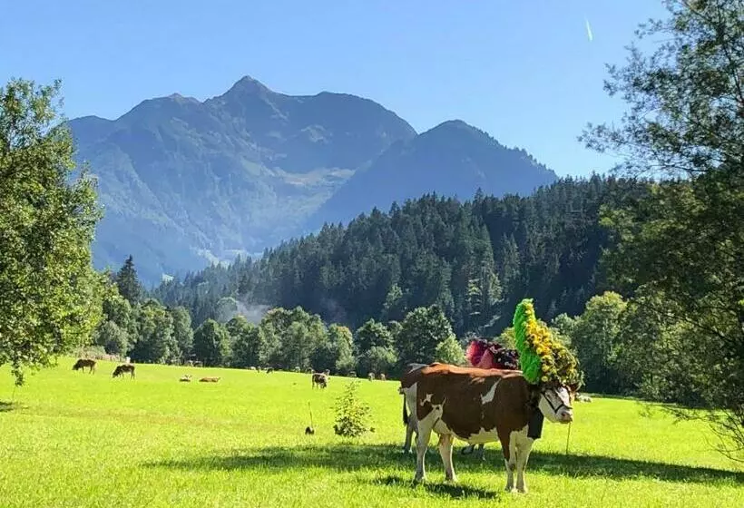 ホテル Bio Bauernhof Niederlehen