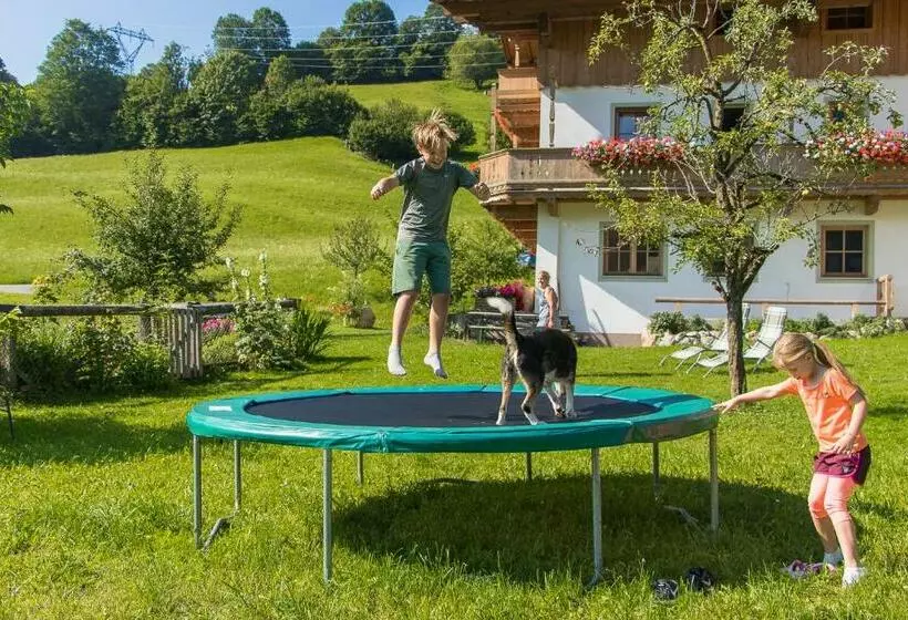 ホテル Bio Bauernhof Niederlehen