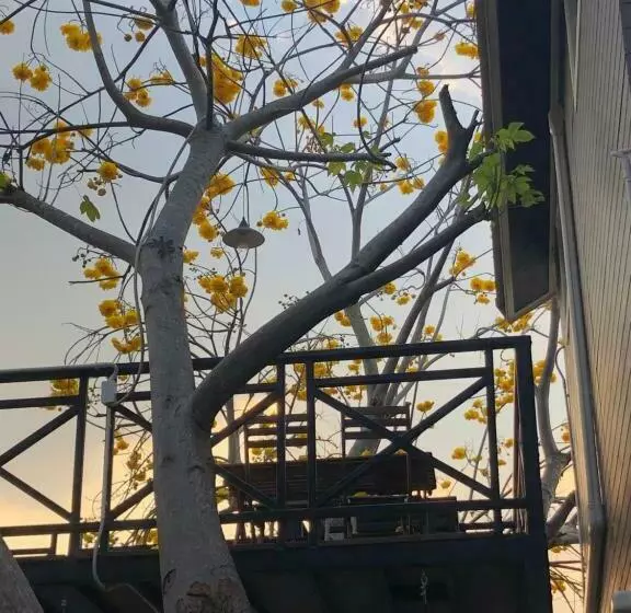 Majatalo Jung Ja Hut