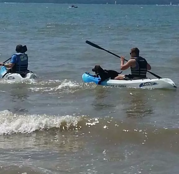 Majatalo The Waters Edge