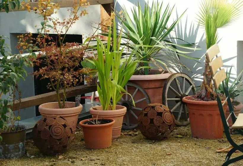 Pension Zum Birnbaum