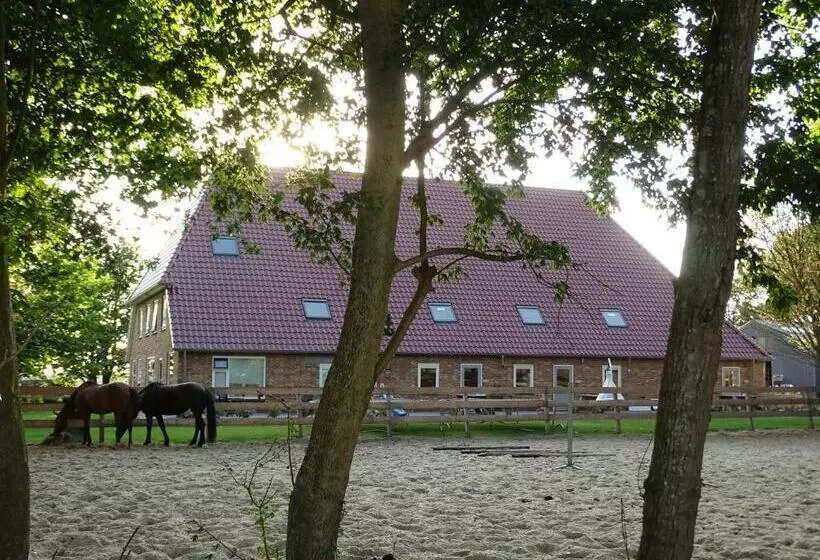 ベッドアンドブレックファースト Hoeve Blitterswijk