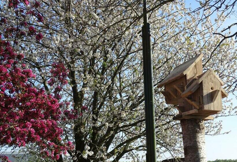 住宿加早餐  Hoeve Blitterswijk